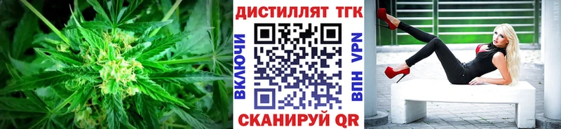 Дистиллят ТГК Wax  Купить где  Устюжна 