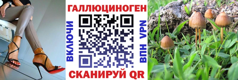 Купить где  Устюжна  Псилоцибиновые грибы GOLDEN TEACHER 
